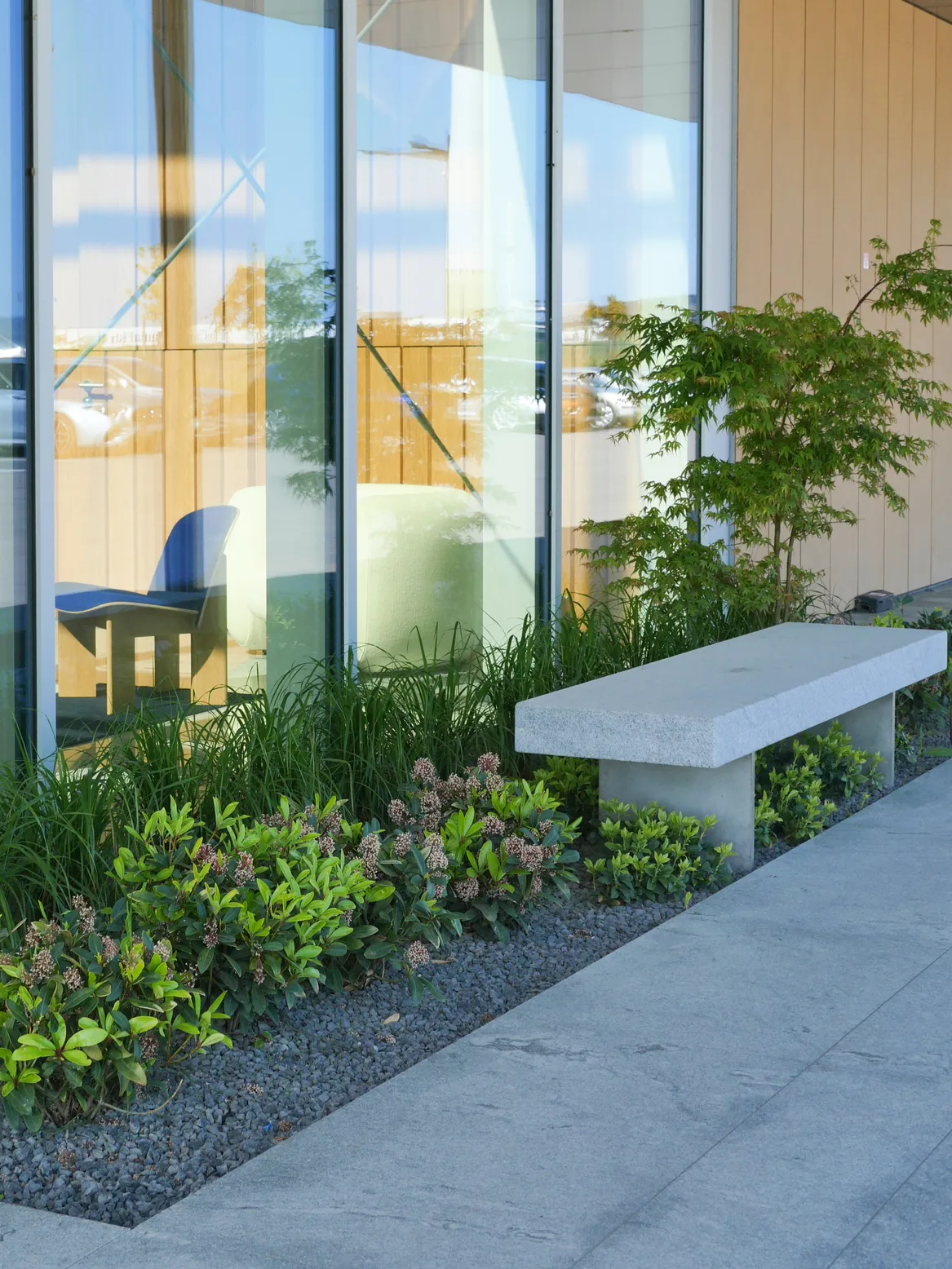 Skimia, klon palmowy i trzcinnik przy kamiennej ławce. Płyty wielkoformatowe