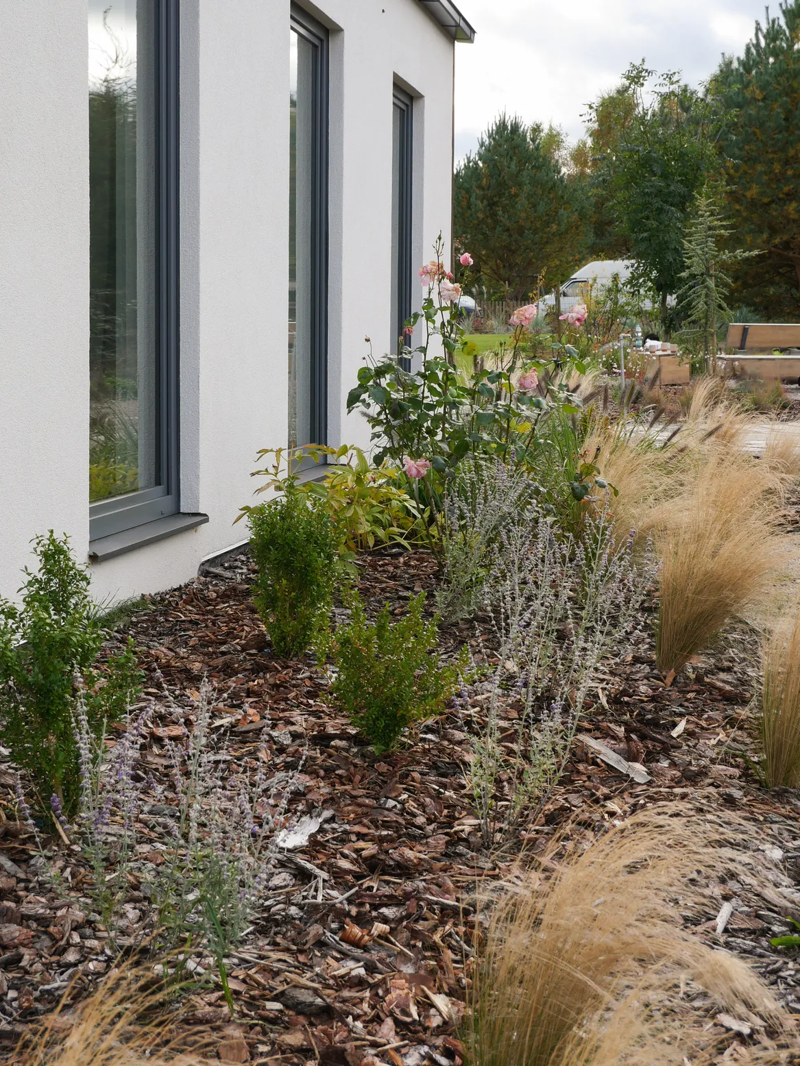 Nasadzenia przy strefie warzywnej.