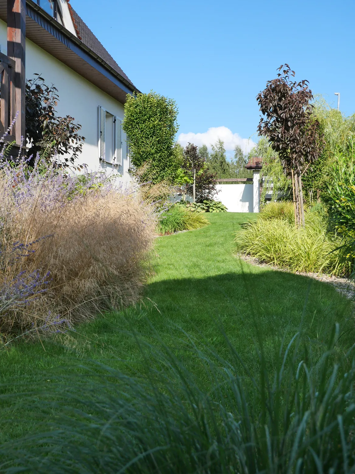 Trawnik o swobodnych kształtach.