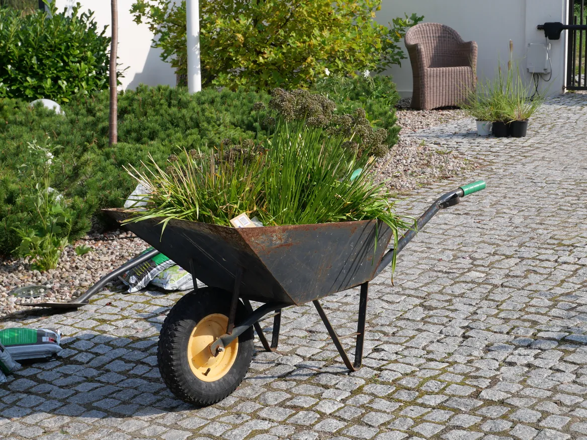 Front ogrodu, kosodrzewina, kostka granitowa.