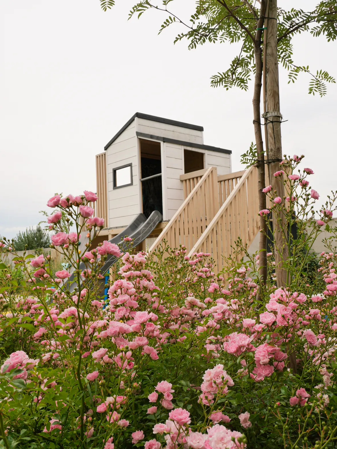 Domek Fido dla dzieci, ze zjeżdżalnią. Widok na rabatę z różą okrywową ‘The Fairy’