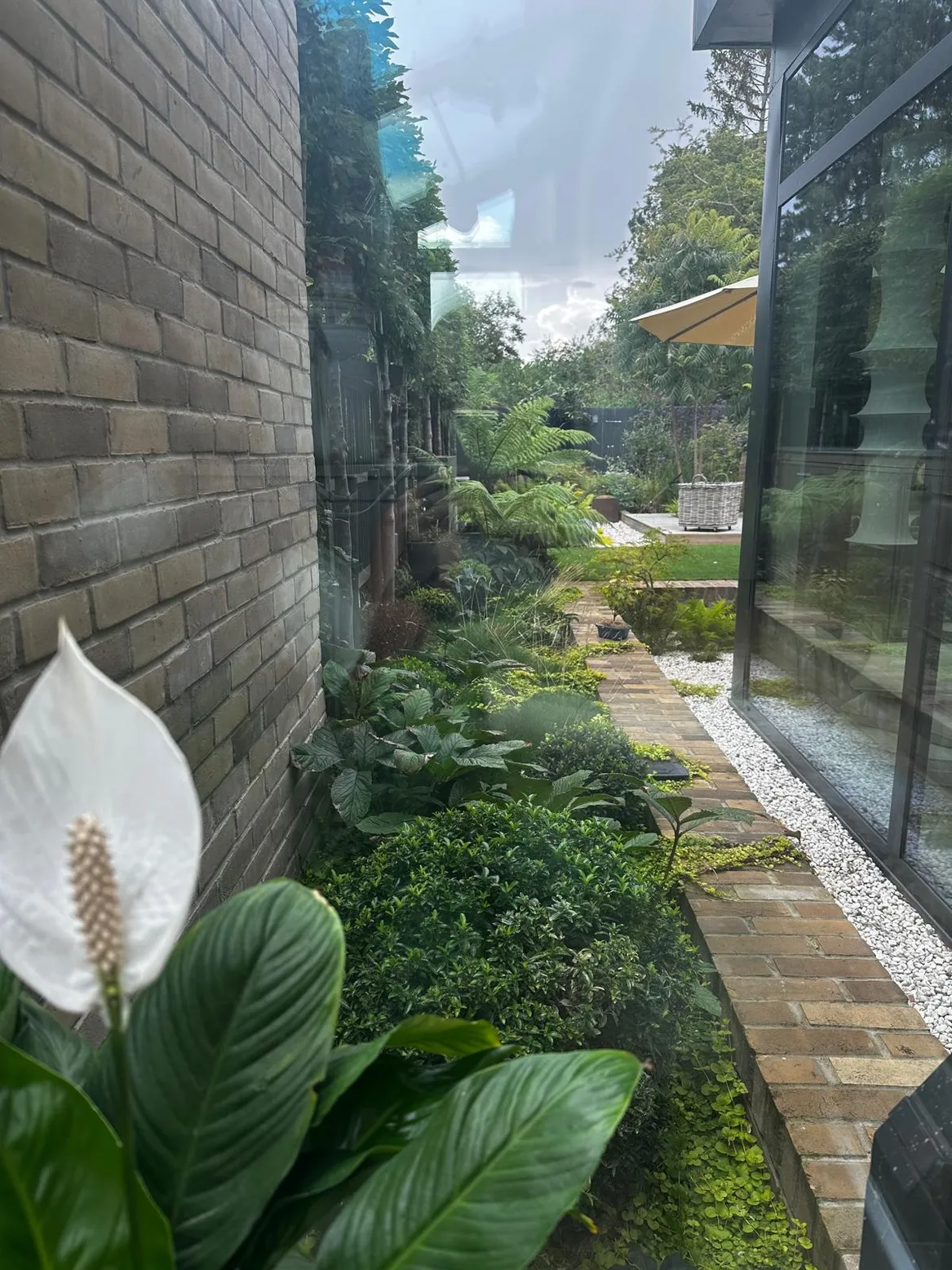 Widok na cienisty fragment za ogrodem zimowym