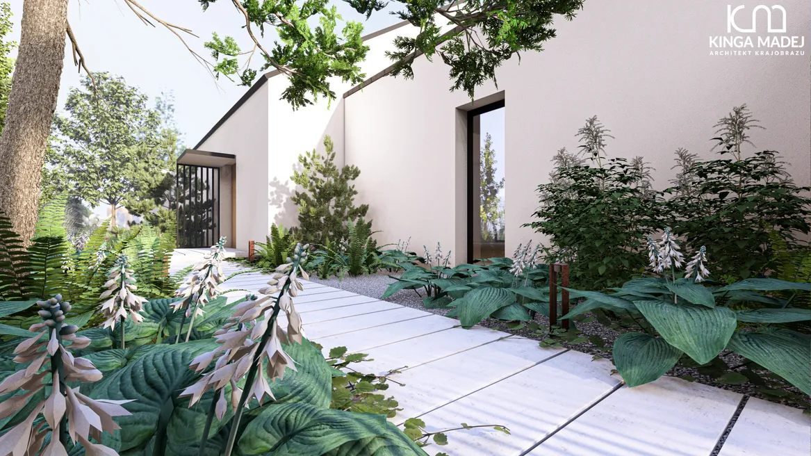 Dojście do domu z leśnymi nasadzeniami: parzydło leśne, funkie, piórpusznik strusi.