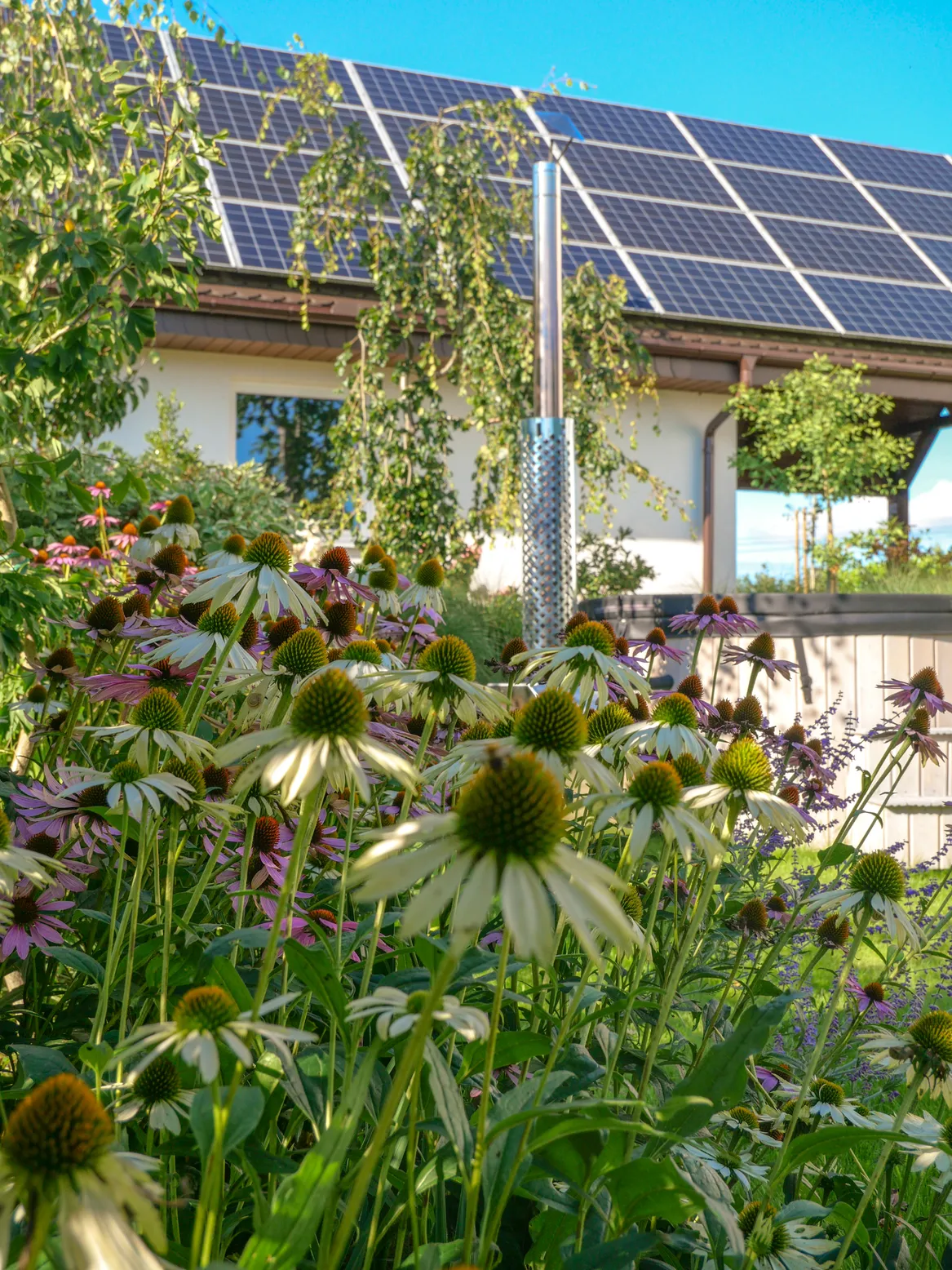 Byliny przy bali ogrodowej.