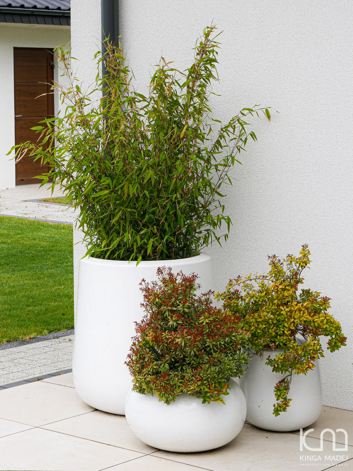 Donice tarasowe Polnix, z zimozieloną kompozycją z bambusa i pierisa.