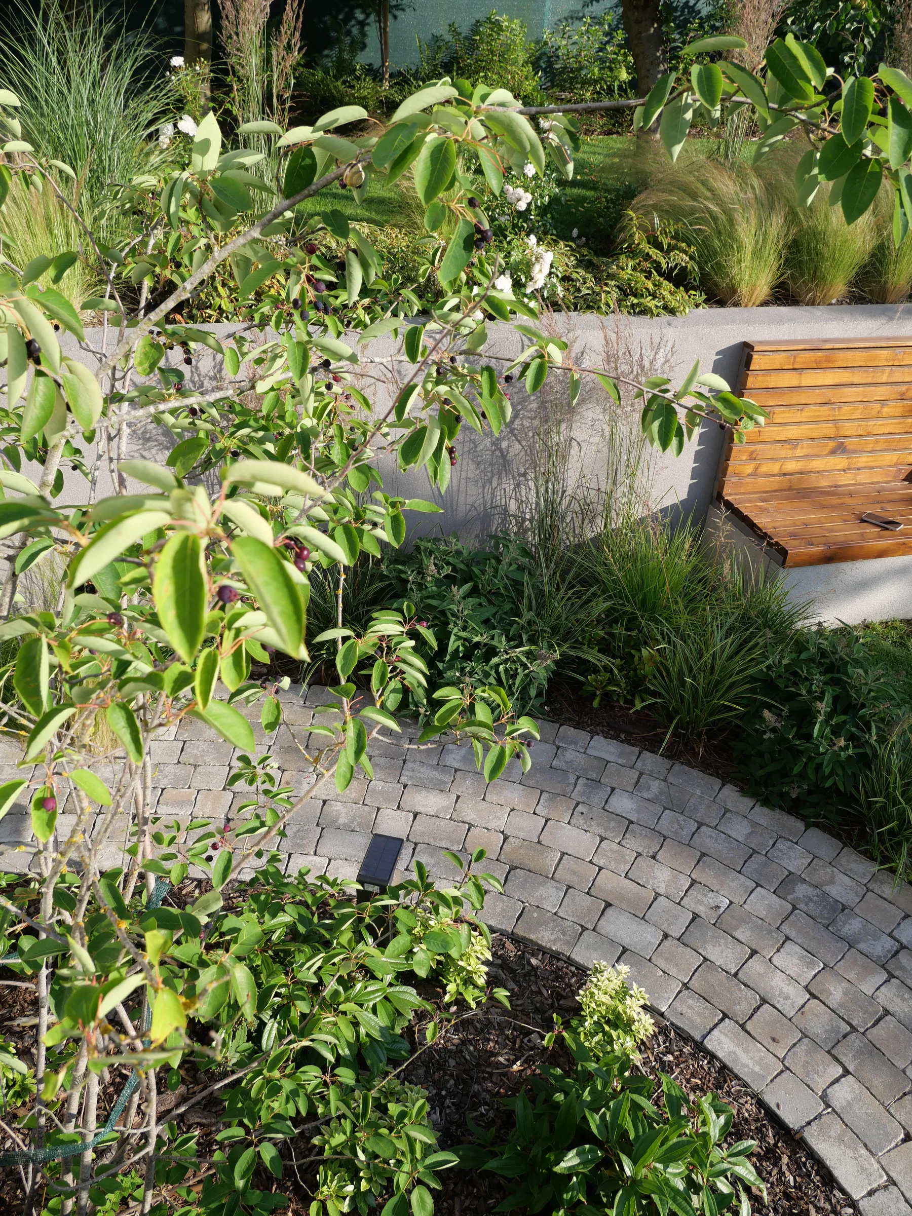 Główne zdjęcie dla Metamorfoza ogrodu w Słupsku