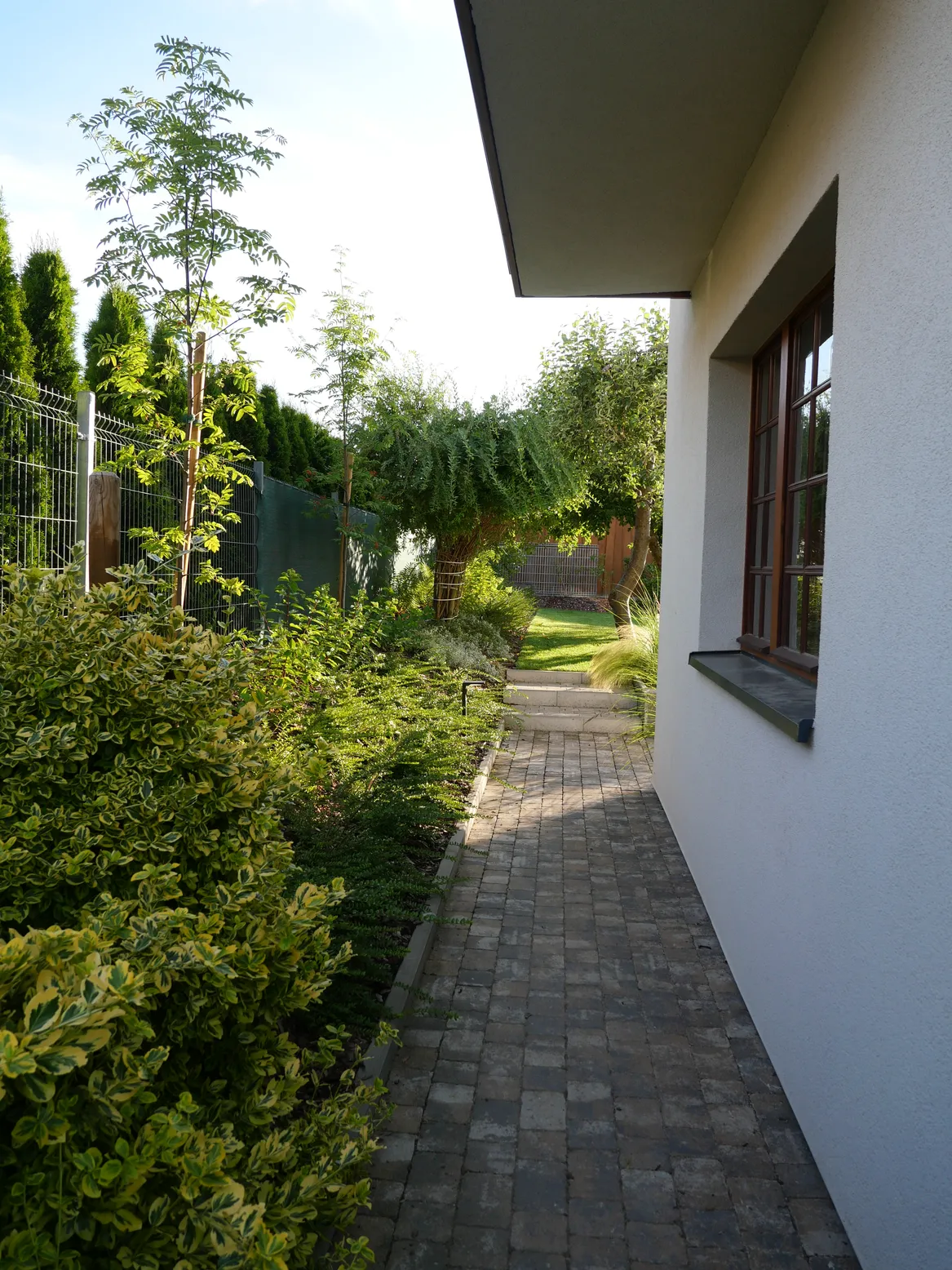 Wąska ścieżka za domem. Trzmielina, suchodrzewy.