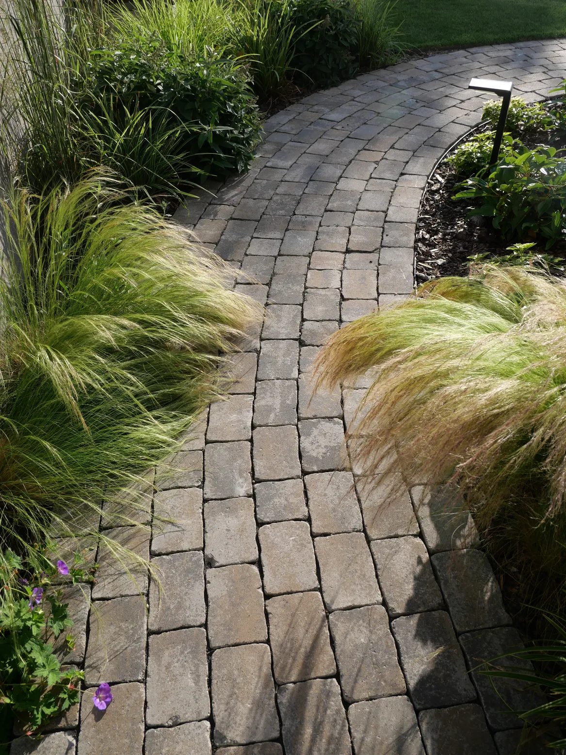 Ścieżka między rabatami prowadzona po łuku.