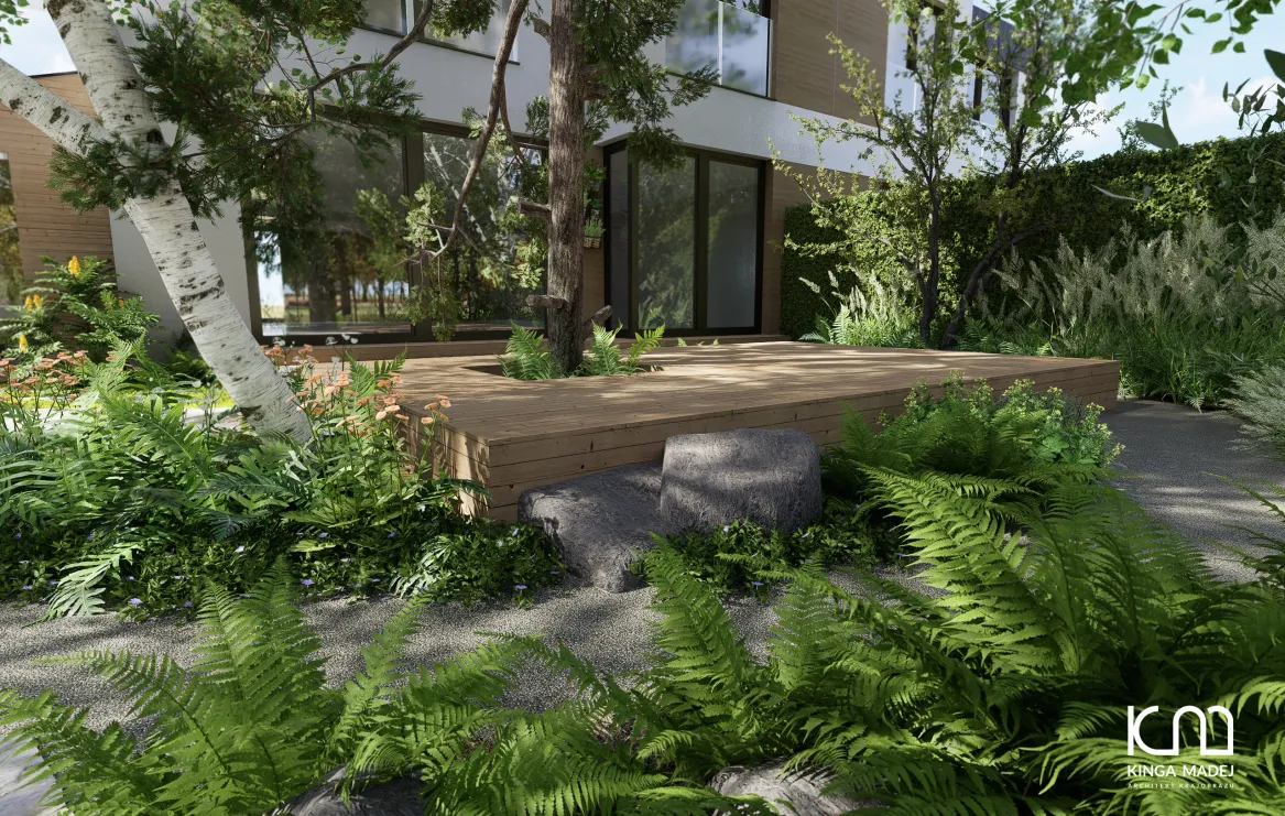 Widok na taras, barwinek, paprocie, sosnę i brzozę. W tle trzcinniki.