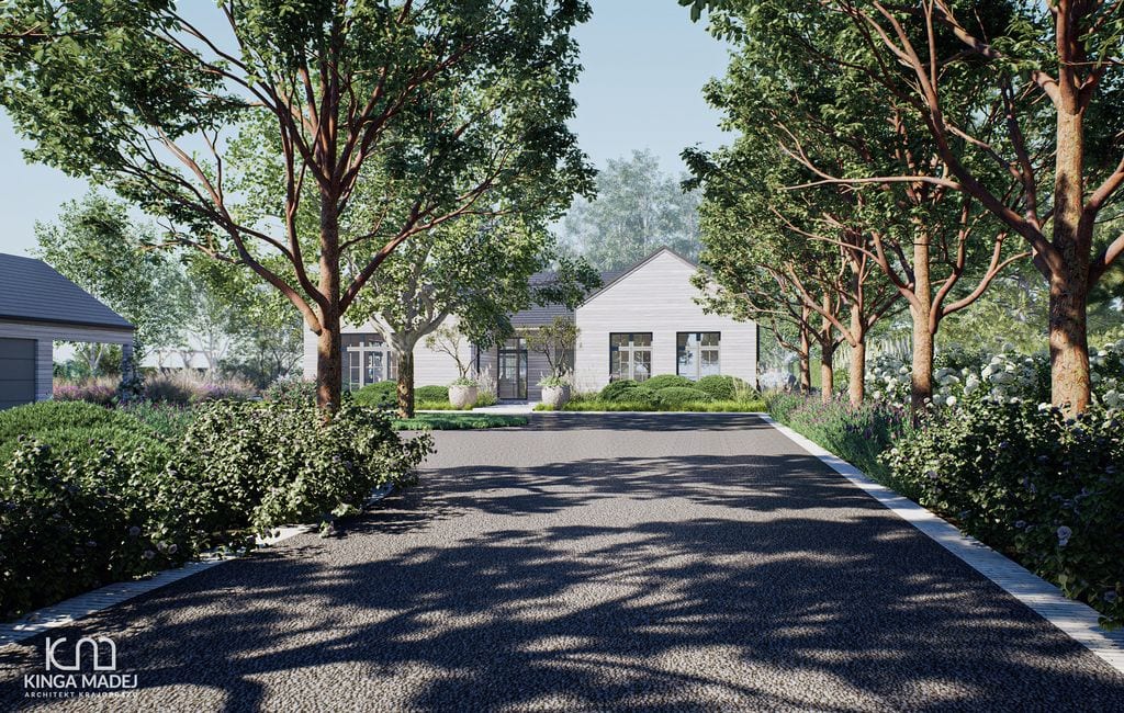 Aleja dojazdowa obsadzona klonami Freemana