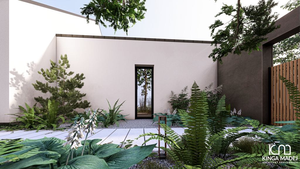 Ścieżka z szerokich betonowych płyt otoczona roślinnością leśną