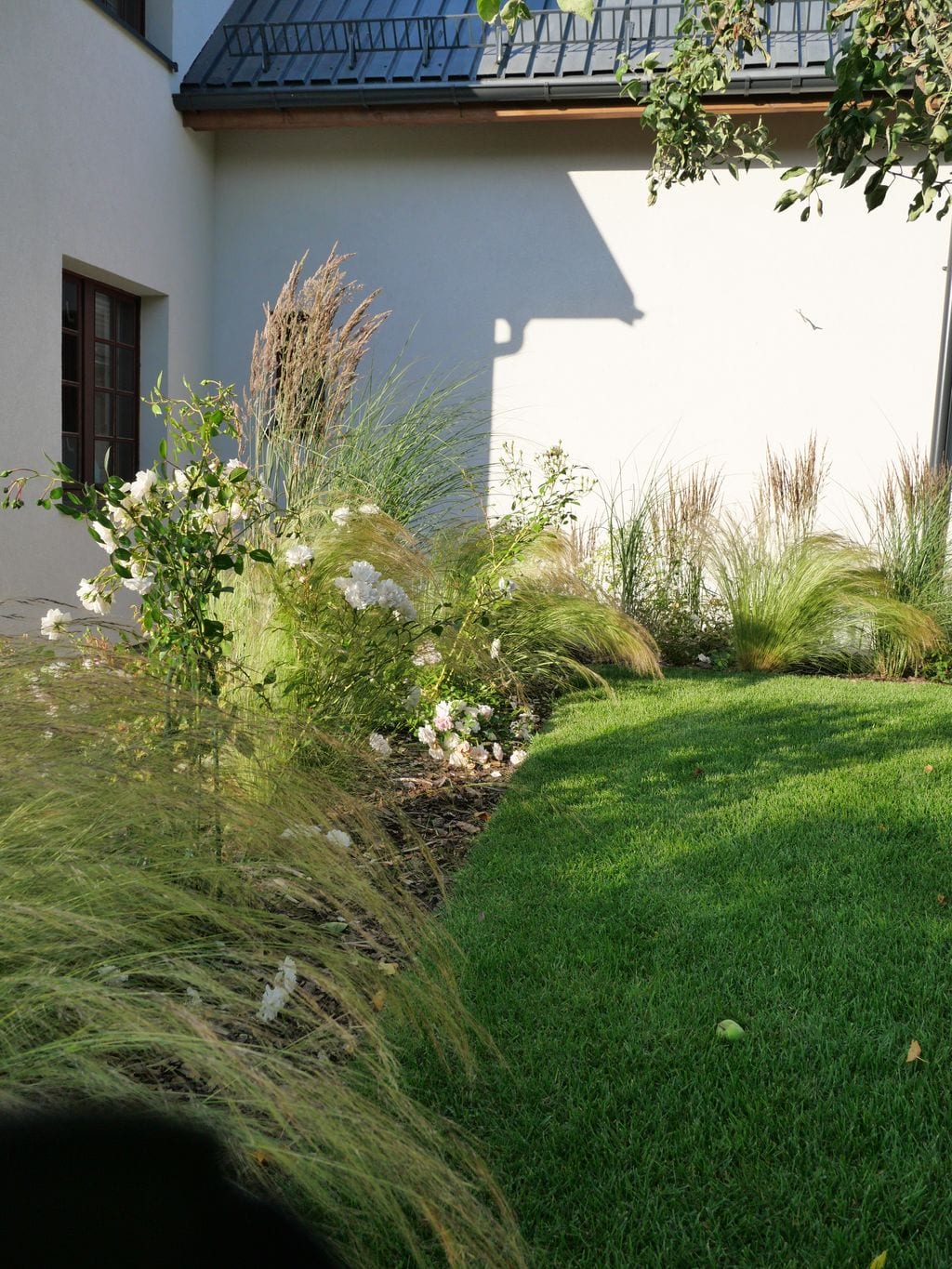 Przystrzyżony trawnik z rabatą ściółkowaną korą. Stipy, trzcinniki i białe róże.