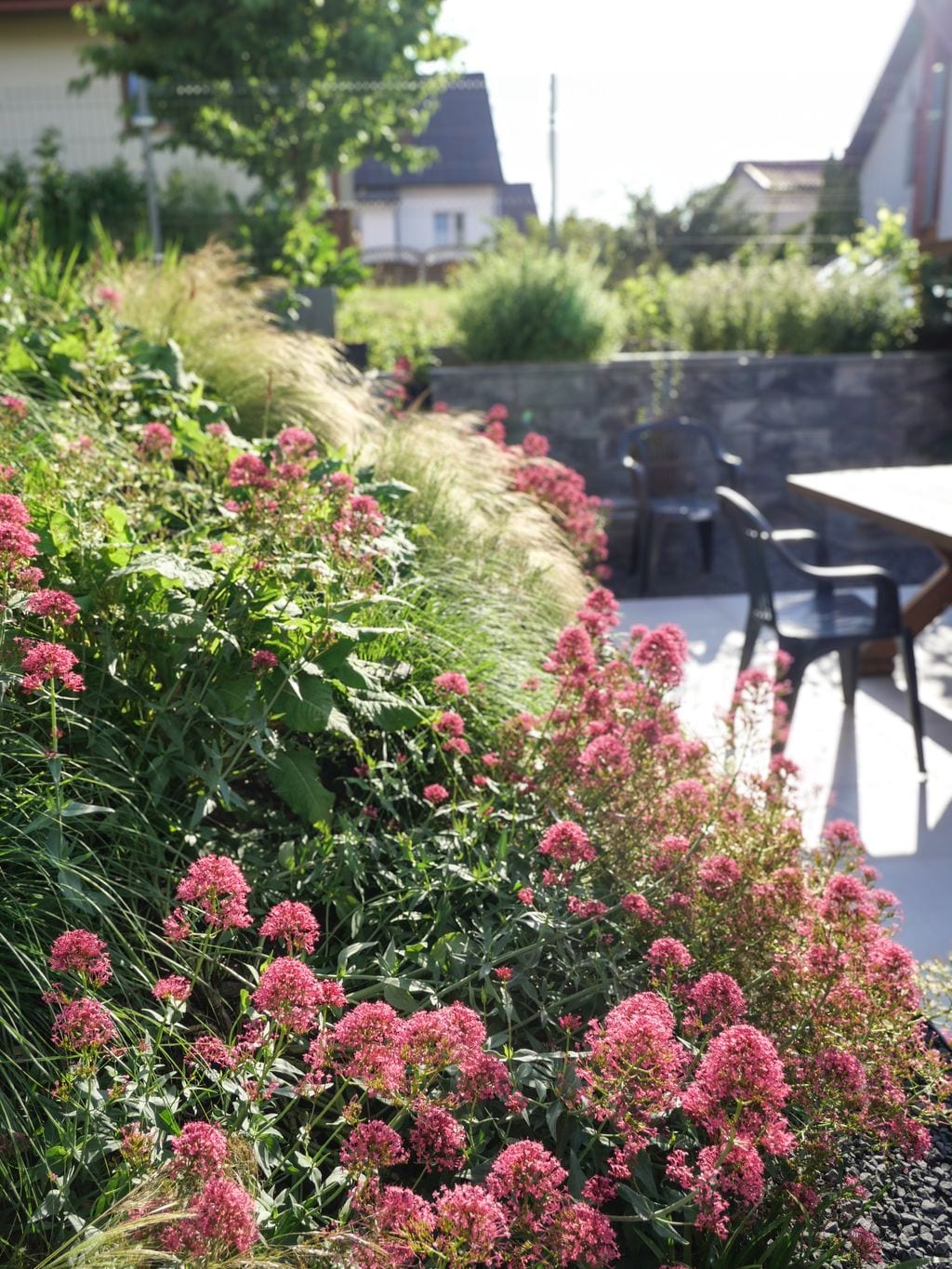 Nasadzenia na skarpie przy stole jadalnianym.