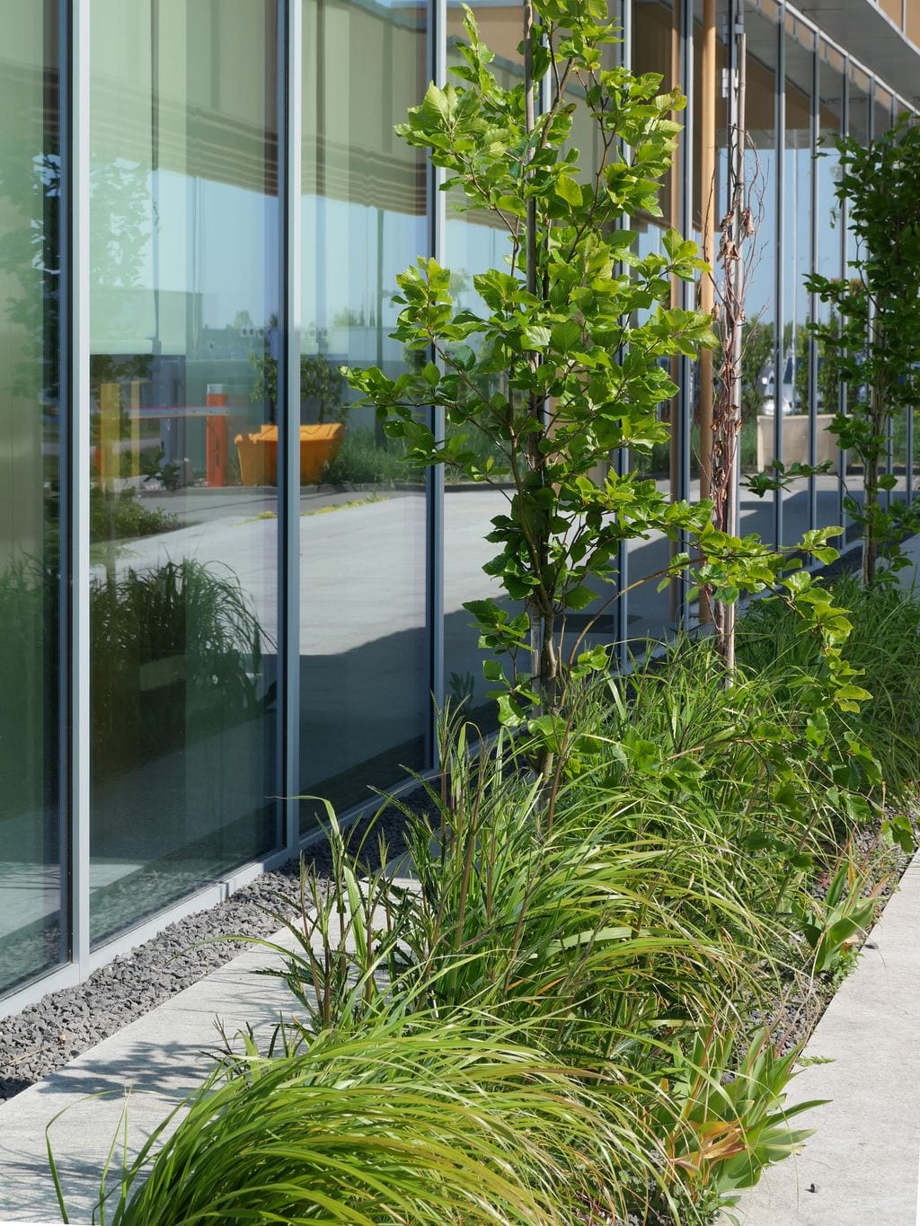 Nasadzenia boczne wzdłuż budynku