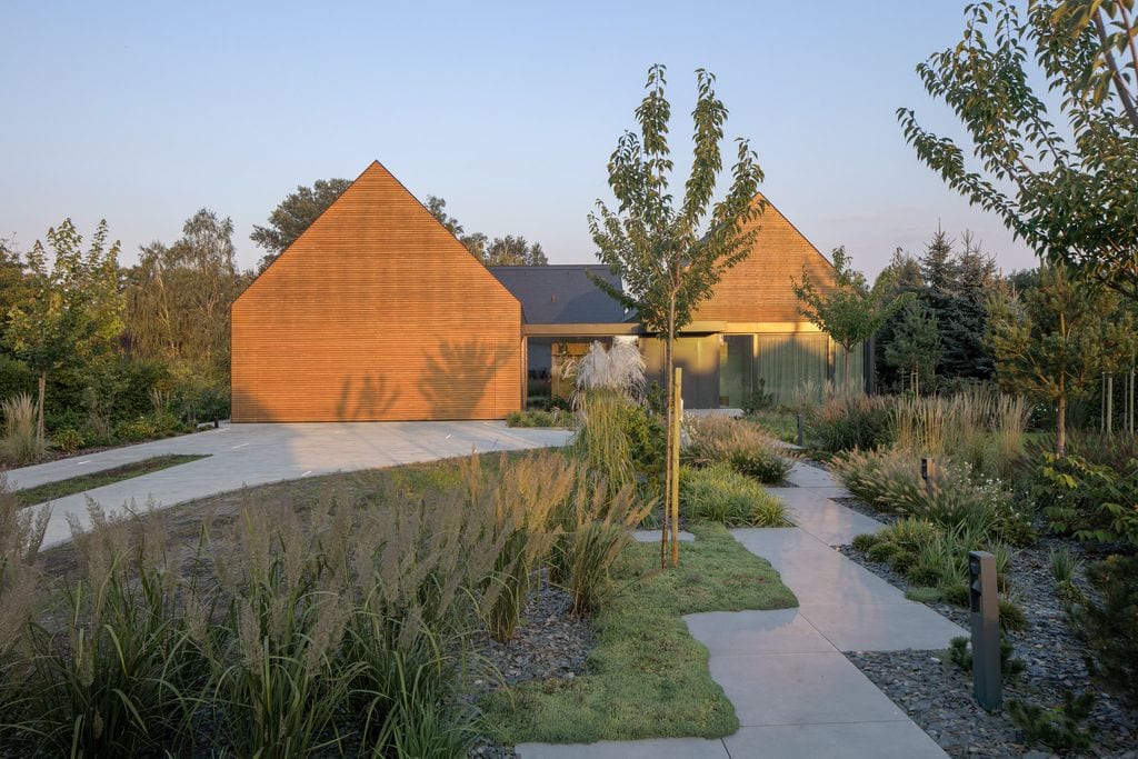 Widok na ścieżkę prowadzącą do wejścia i podjazd. Runianka, trzcinniki, drzewa alejowe. Fot. Piotr Krajewski