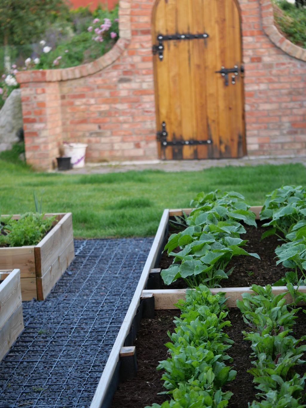 Widok na podniesione grządki warzywne i ziemiankę ogrodową wykończoną od przodu czerwoną cegłą.