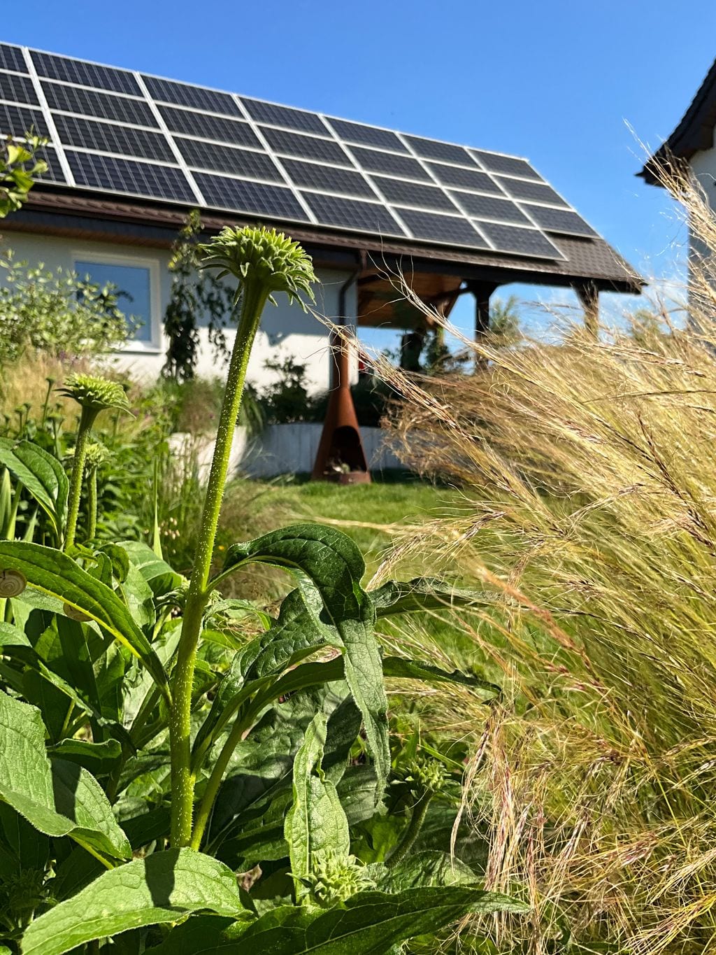 Na pierwszym planie jeżówka. Z tyłu cortenowe paleniosko. Palisada w kolorze białym zabezpiecza skarpę.