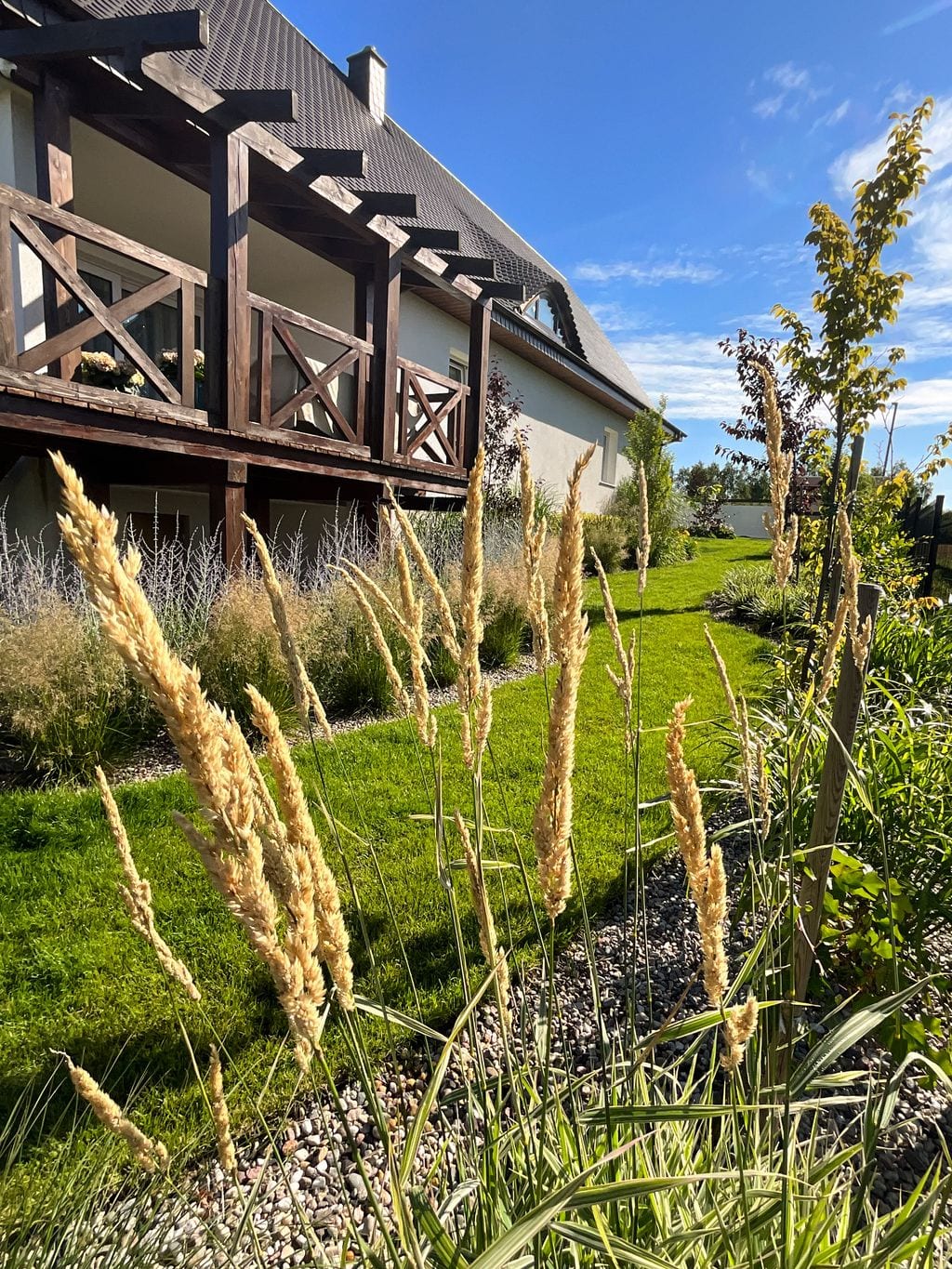 Nieregularny trawnik wzdłuż domu. Taras na poziomie +1. Mozga trzcinowata, śmiałki, perovskie. Rabata ściółkowana żwirem rzecznym 