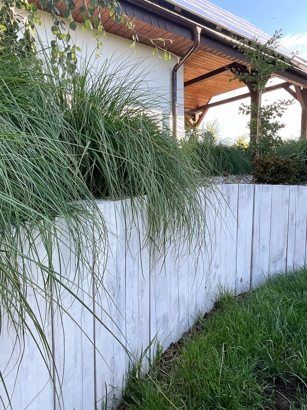 Palisada podtrzymująca skarpę. U góry rozplenica 'Gold Hameln'