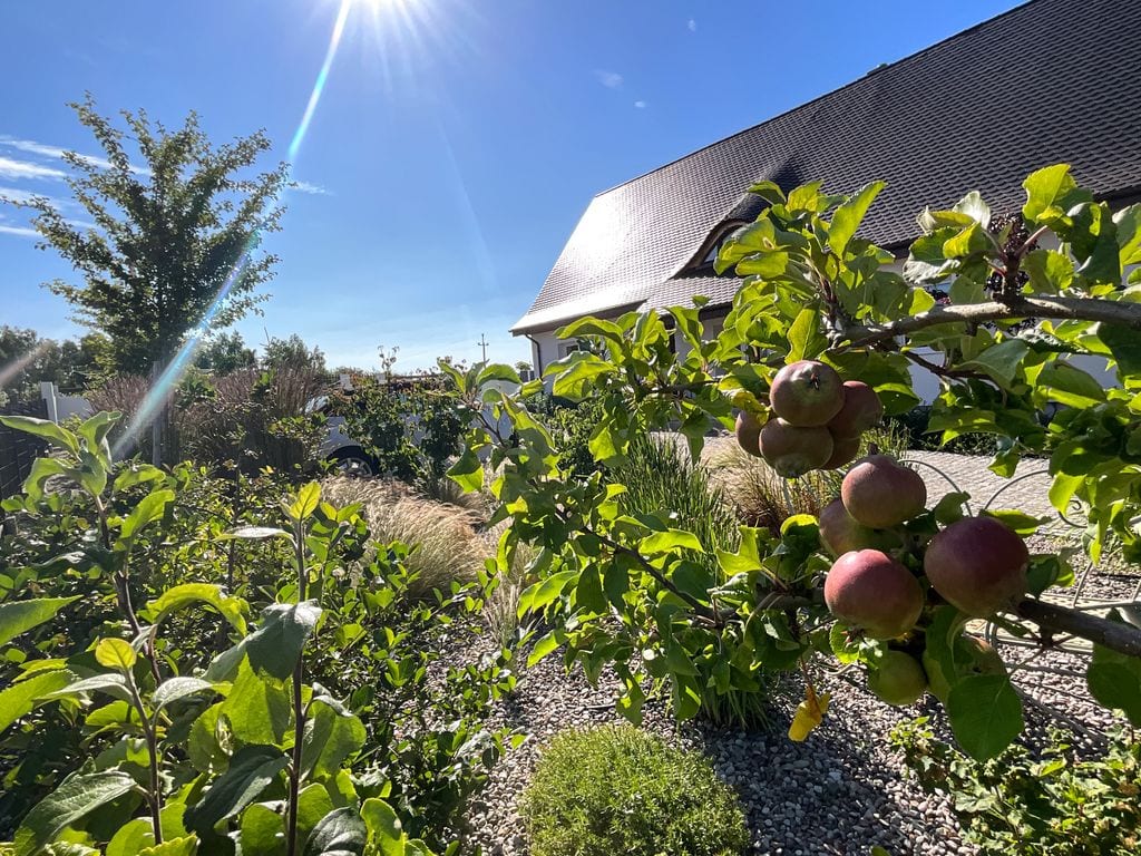 Widok na dom ze strefy uprawnej.