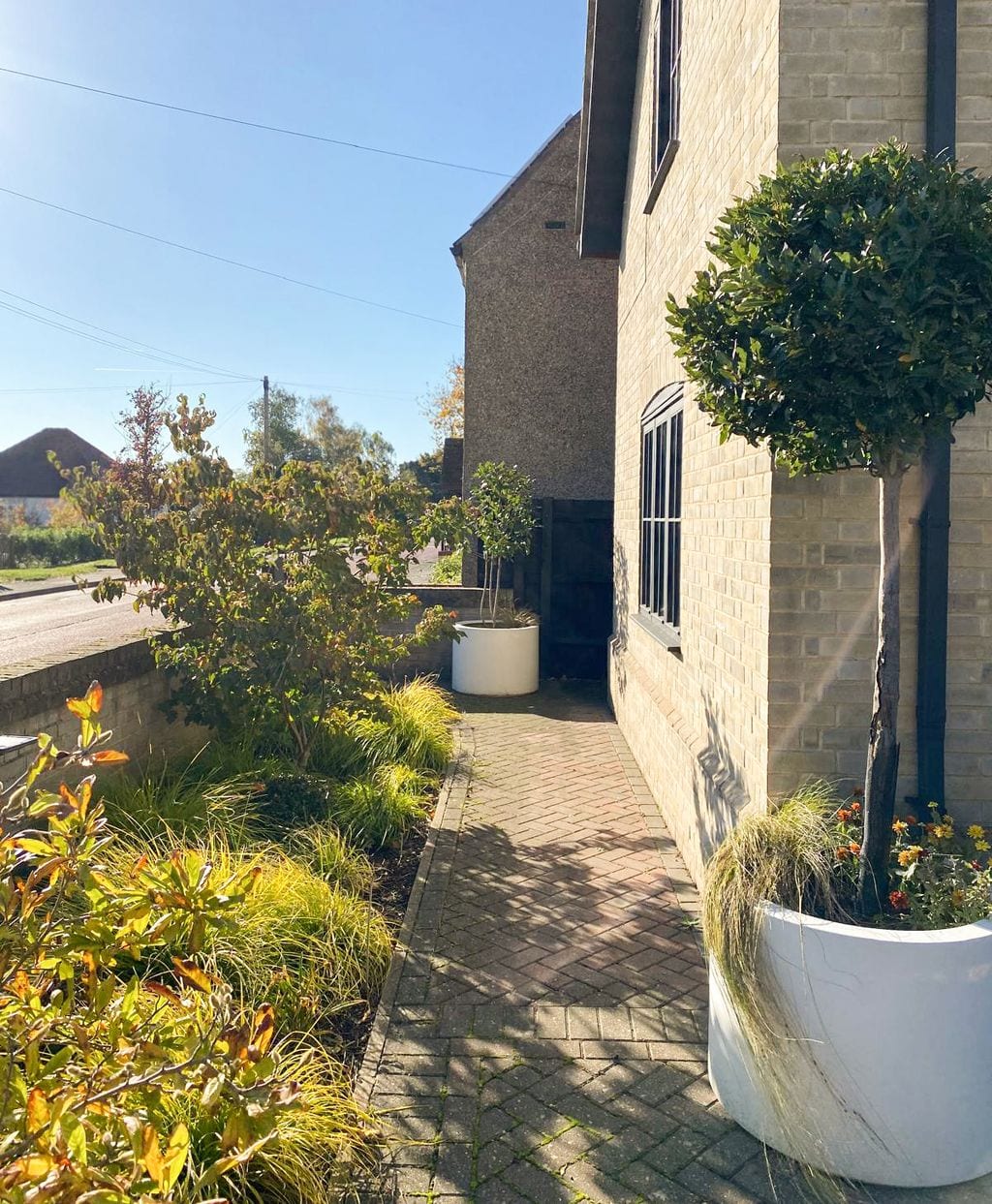 Rabata frontowa z magnolią podsadzoną rozplenicą 'Hameln Gold'. Ścieżka ułożona z cegły.