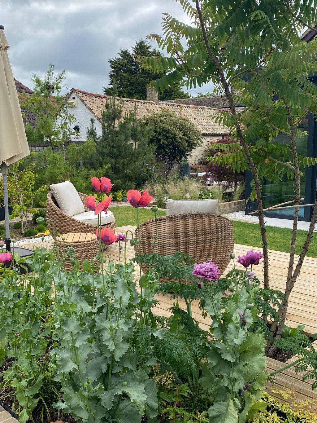 Taras z sumakiem i maki. Wygodne meble ogrodowe.