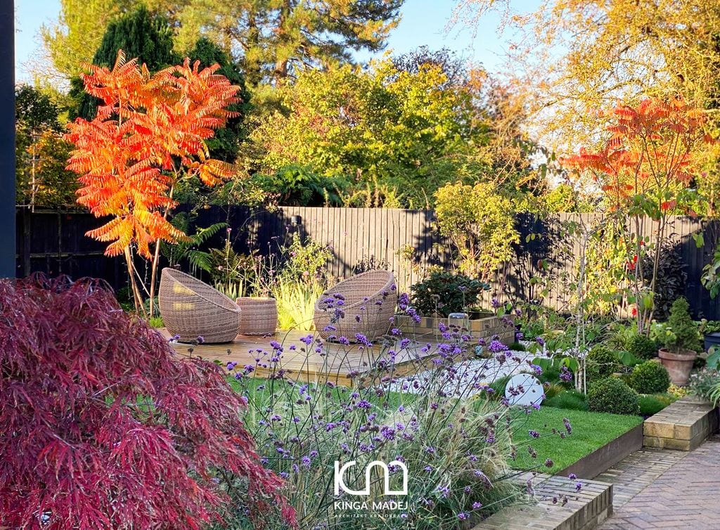 Widok jesienny na ogród. Klon palmowy, pomarańczowy sumak, drewniane ogrodzenie.